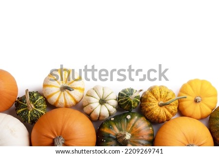 Different pumpkins isolated on white background, autumn theme, texture. Design ideas, top view. Halloween, Thanksgiving day