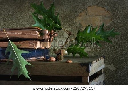 Still life with an oak branch with beautiful acorns and old books