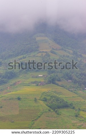 Aerial view of golden rice terraces at Mu cang chai town near Sapa city, north of Vietnam. Beautiful terraced rice field in harvest season in Yen Bai. Travel and landscape concept. Selective focus
