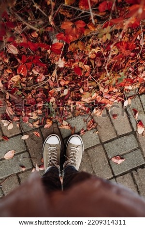 women's legs green sneakers on autumn red leaves. autumn mood picture. selective focus