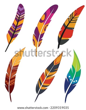 feather multicolored vector illustration design