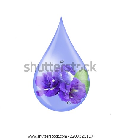 Butterfly pea flower serum oil drop isolated on white background. Fruit collagen, natural organic cosmetic ingredient for skin care, beauty and spa concept.