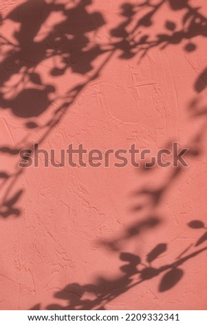 Abstract tree leaves shadows on pink concrete wall texture with roughness and irregularities. Abstract trendy colored nature concept background. Copy space for text overlay, poster mockup flat lay 