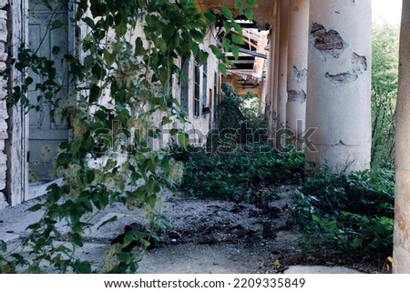 Old house with a terrace surrounded by greenery. Dark dirty grunge and creepy atmosphere