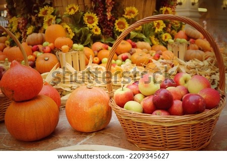 Decorative orange pumpkins, apples in basket, and sunflowers on display in Halloween. Vintage style picture. Food, interior and Halloween day concept.