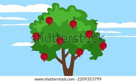 pomegranate tree with ripe pomegranates