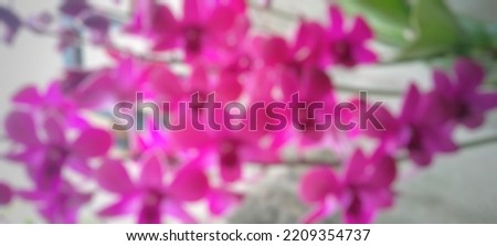Defocused abstract background of Orchid flowers that have bloomed in the home garden