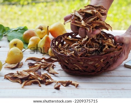 The season for harvesting dried fruits for future use. Woman's hands hold dried pears. Natural background with dried fruits. Juicy fragrant pears against the backdrop of nature and dried pears. Royalty-Free Stock Photo #2209375715