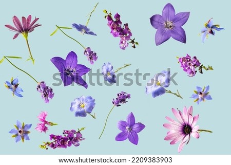 Beautiful blue and purple flowers flying in the air against blue background. Minimal birthday or wedding concept