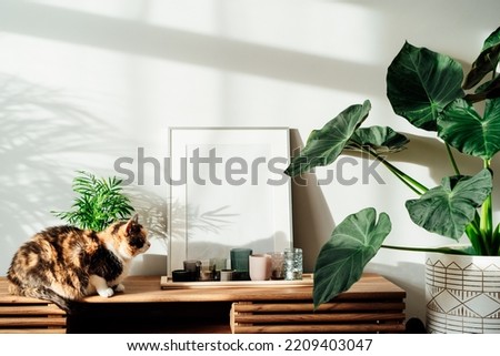 Modern minimalist style interior with white poster mockup, candles and relaxed cat on a wooden console with tropical green home plants under sunlight and shadows on a gray wall. Selective focus.