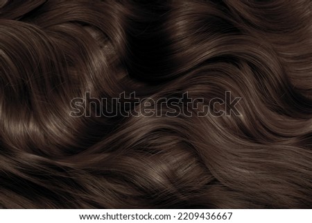 Brown hair close-up as a background. Women's long brown hair. Beautifully styled wavy shiny curls. Hair coloring. Hairdressing procedures, extension. Royalty-Free Stock Photo #2209436667