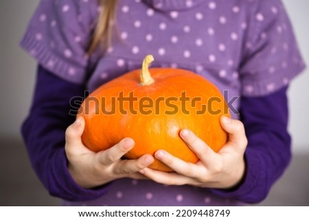 A little girl holds a pumpkin in her hands, hands close-up