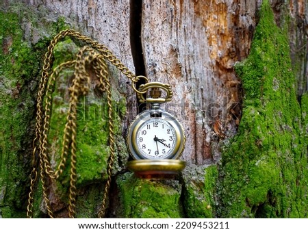 Vintage bronze toned watch placed on a fairy tail background made from moss covered tree trunk with exposed inner bark.