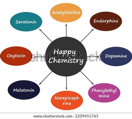 Types Of Happy Chemistry and it's details with icons in an infographic template