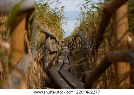 Landskape with the lake full of reed and beautiful pale blue sky. High quality photo