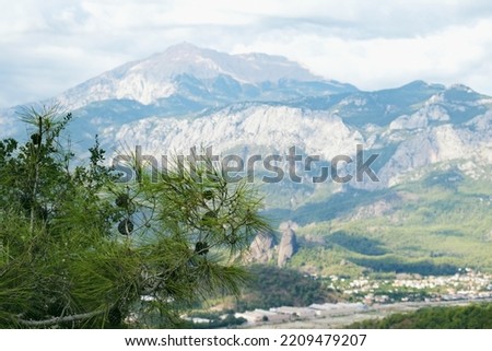 Beautiful mountain landscape. Rocks with pine trees in the foreground and a blue sky with white clouds in the background. Focus in the foreground