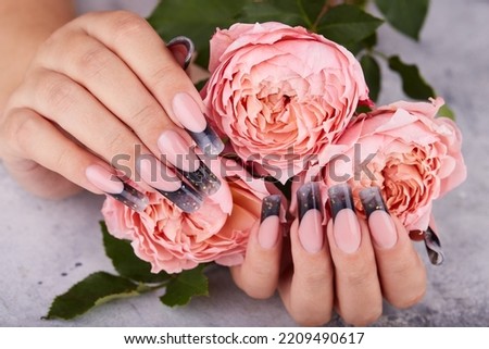 Hands with long artificial manicured nails colored with black nail polish and pink rose flowers Royalty-Free Stock Photo #2209490617