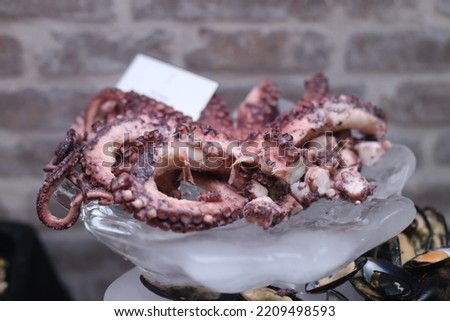 Octopus seafood on iced structure selective focus blur background.
