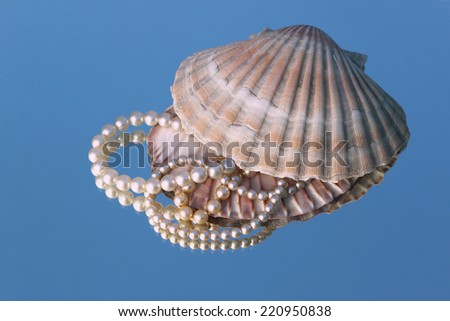 venus shell natural and artificial, old pearls, natural venus shell