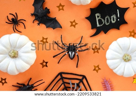 Halloween background with black bats, spiders, pumpkin and stars. Modern Holiday design. Halloween party border spinning on orange. Flat lay, top view, copy space. Thanksgiving fall trendy decoration.