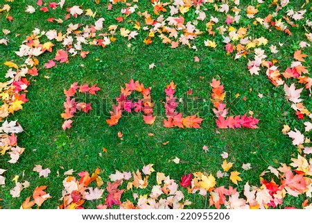 The words Fall written with red leaves