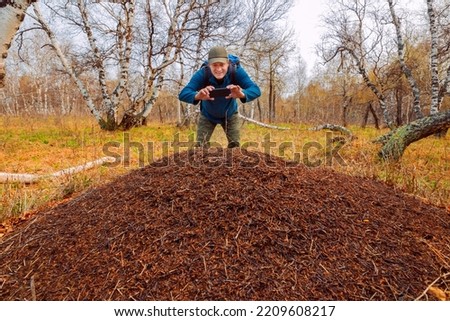 mature handsome man Tourist taking pictures on smartphone giant anthill in spring forest