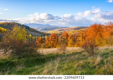 fantastic autumn afternoon in carpathians. iconic picture of transcarpathia with pikui peak in the distance. superb evening landscape of ukrainian countryside. traveling concept background