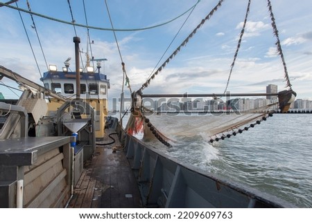 Fishing of gray northsea shrimps near the coast Royalty-Free Stock Photo #2209609763