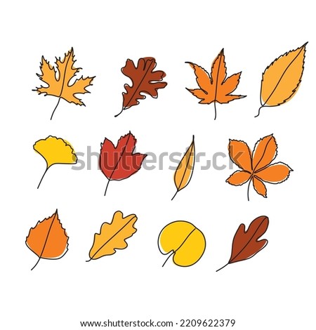 Set of outline autumn leaves. Vector illustration