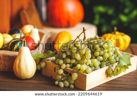 Autumn harvest. Grape, decorative pumpkins, gourd and squash on wooden table
