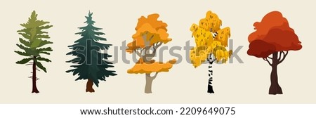 Autumn trees forest. Oak, spruce, and birch.