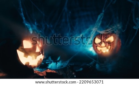 Halloween pumpkins beyond the cobweb with spider and smoke