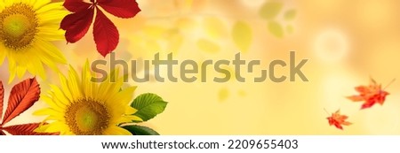 Autumn Banner Background with Colored Fall Leaves of Chestnut and Sunflowers against a beautiful nature bokeh background. Good for Thanksgiving Day or Halloween Template With Copy Space