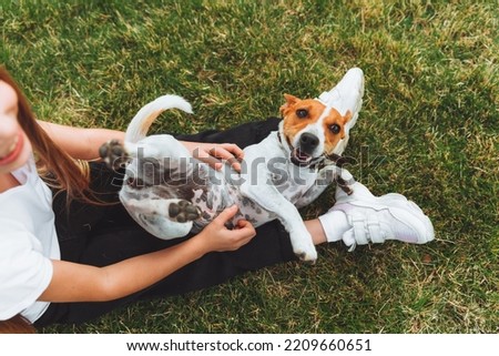 a little baby girl scratches the belly of her Jack Russell Terrier dog. A happy dog is lying on the green grass in the park. a pet Royalty-Free Stock Photo #2209660651