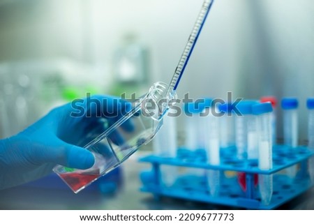 cell culture at the cell culture, medicine and medical laboratory