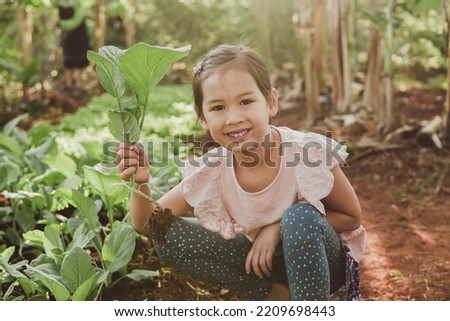 Mixed Asian girl child harvesting fresh homegrown vegetables, eating healthy food, montessori learning, sustainable living, share community produce concept Royalty-Free Stock Photo #2209698443