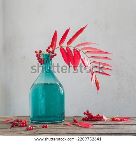 red autumn leaves in glass vase and viburnum berries  on wooden table