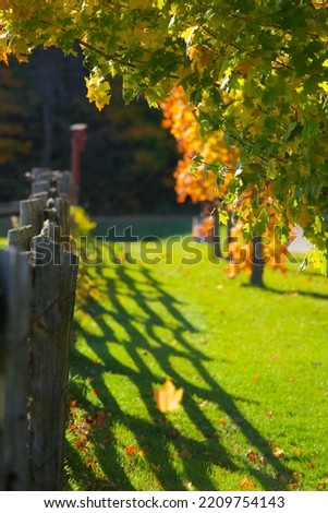 Barn and Fence with Colorful Autumn Leaves