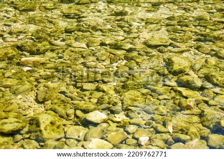 Small pebbles under the water in the river. Abstract nature backgrounds