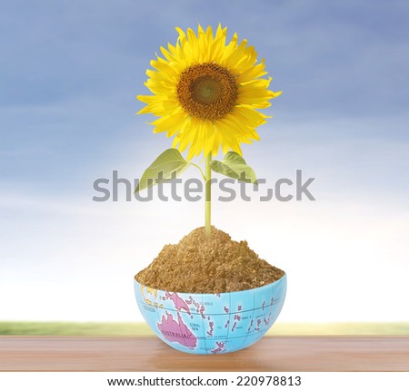 Earth in spring sunflower