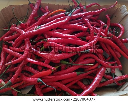 Fresh red chili ready for sale Royalty-Free Stock Photo #2209804077
