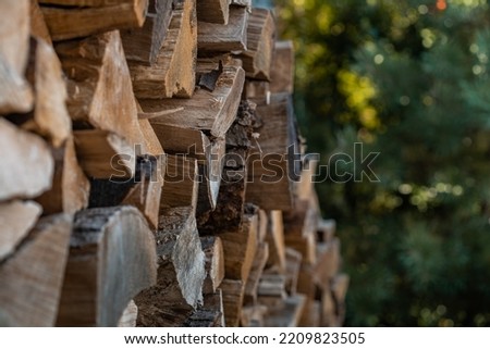 Forest pine and spruce trees. Log trunks pile, the logging timber wood industry. Wide banner or panorama wooden trunks.
