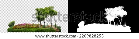 Colorful shrubs, ornamental plants, gardens or parks. isolated on transparent background with clipping path and alpha channel on black background