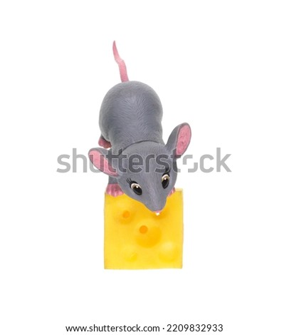 toy mouse and cheese isolated on white background