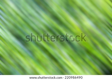 green of plant motion blur abstract background
