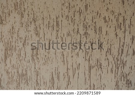 Backdrop - beige wall with stucco worm finish