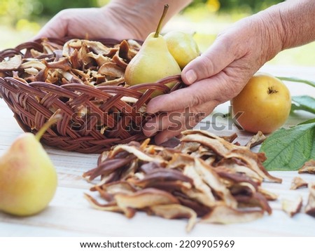 The season for harvesting dried fruits for future use. Woman's hands hold dried pears. Natural background with dried fruits. Juicy fragrant pears against the backdrop of nature and dried pears. Royalty-Free Stock Photo #2209905969