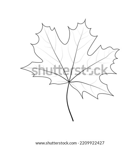 Single simple Marple leaf outline. Coloring page for kids. Autumn, Spring, Summer. Balck and white, isolated, vector illustration.