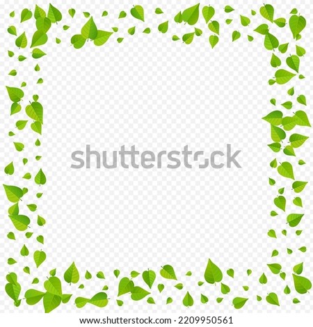 Swamp Leaves Swirl Vector Transparent Background Banner. Abstract Foliage Plant. Lime Greens Spring Branch. Leaf Motion Poster.