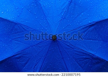 Close up Transparent Umbrella with water drops during the rain with green orange leaves tree on the blur autumn background. Rainy weather at fall season